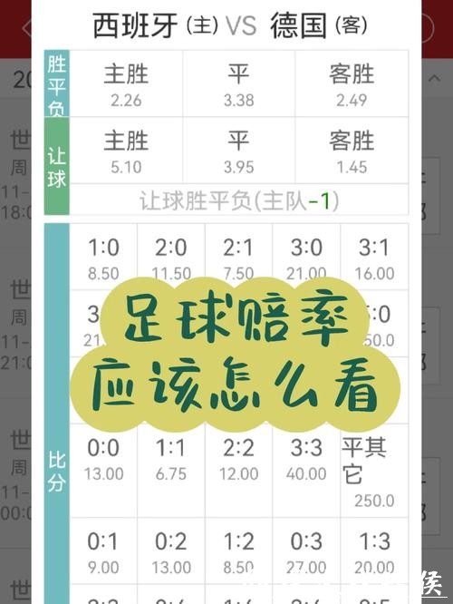 世界杯投注：通过赔率变化分析投注机会